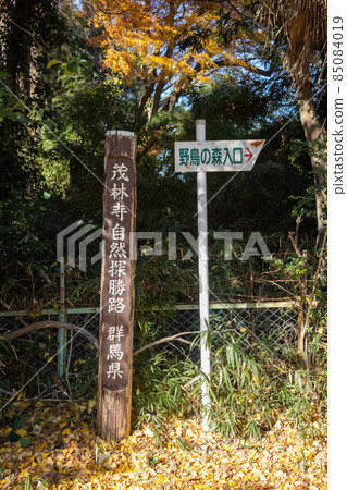 Tatebayashi City, Gunma Prefecture 85084019