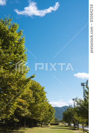 Misa Gyeongjeong Park green forest in Hanam, Korea Misa Gyeongjeong Park green forest in Hanam, Korea 85084258