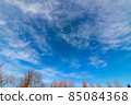 藍天 85084368