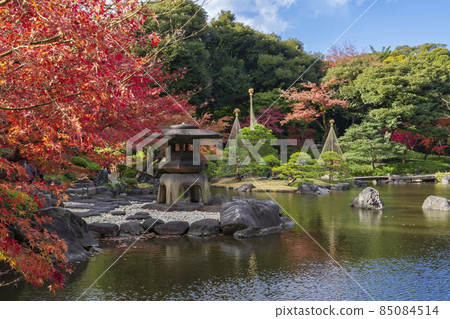 [Tokyo] Kyu-Furukawa Garden (Autumn leaves in Japanese garden) 85084514