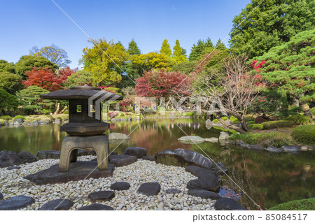 [東京] 古河庭園（日本庭園的紅葉） 85084517