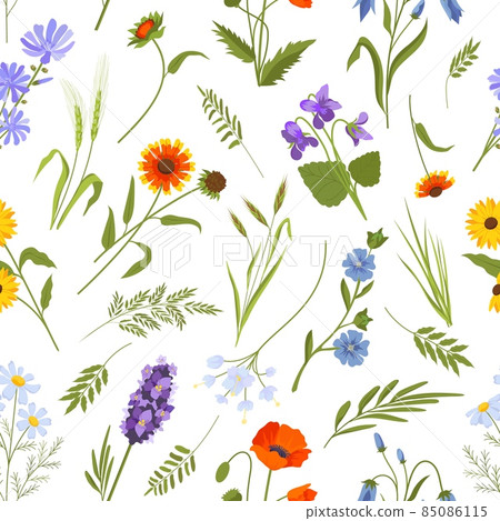 Meadow spring wild flowers and herbs seamless pattern. Vintage floral ornament with daisy, poppy and leaves. Cottagecore boho vector print 85086115