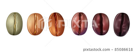 Realistic coffee beans roasting stage from raw to dark. Arabica seeds for espresso drink. Fresh green coffee grains roast process vector set Realistic coffee beans roasting stage from raw to dark. Arabica seeds for espresso drink. Fresh green coffee grains roast process vector set 85086618