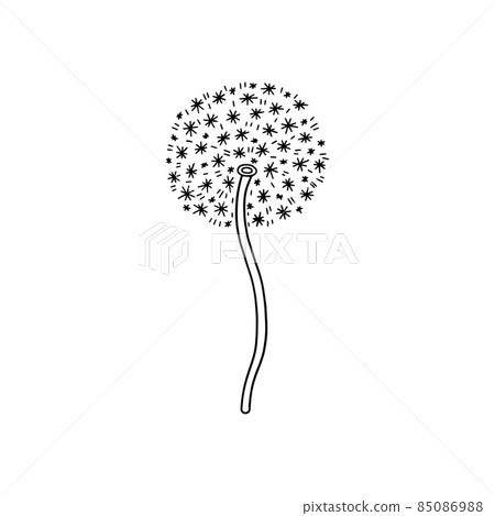 Dandelion flower with fluffy cloud around its stem, vector illustration. Black and white botany decoration. 85086988