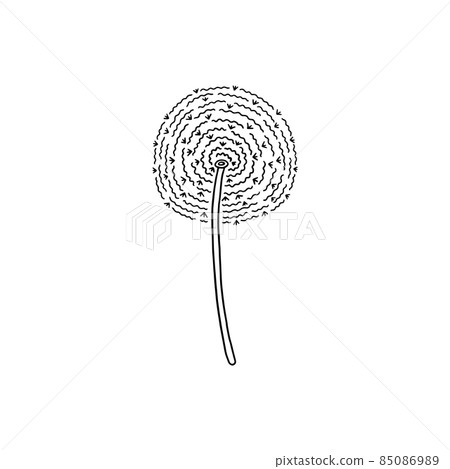 Delicate dandelion flower in hand drawn outline style, vector illustration isolated on white background. 85086989