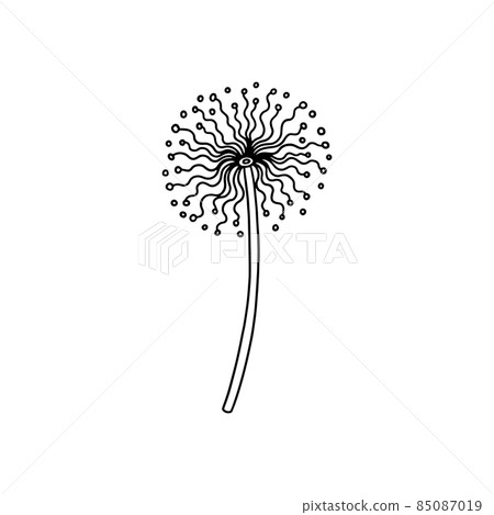 Black dandelion with seeds in abstract style vector illustration isolated Black dandelion with seeds in abstract style vector illustration isolated 85087019