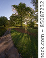 Fish eye perspective of dappled sunlight in sheffield botanical garden 85087232