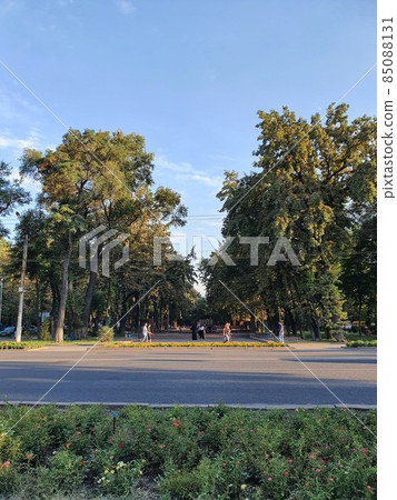 比什凱克公園的景色 85088131