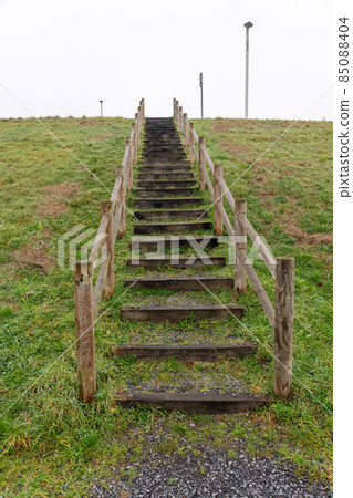 a staircase in nature 85088404