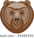 A Brown bear head close-up. 85089350