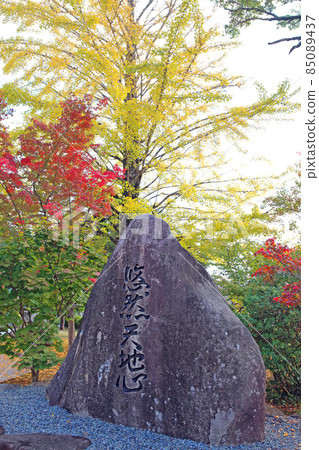 Dempe Ito秋葉 Dempe Ito秋葉 85089437