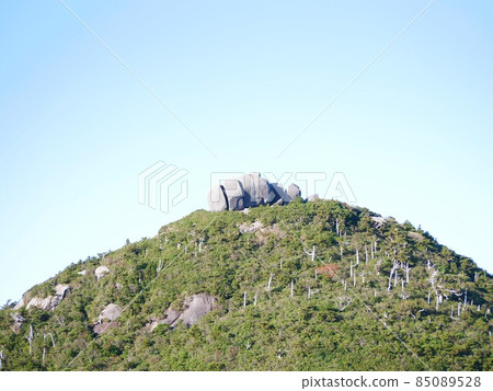 屋久島宮之岳橫穿豆腐岩 屋久島宮之岳橫穿豆腐岩 85089528