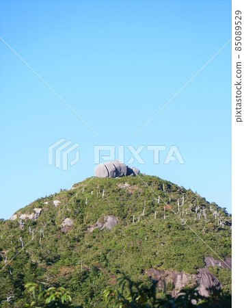 屋久島宮之岳橫穿豆腐岩 屋久島宮之岳橫穿豆腐岩 85089529