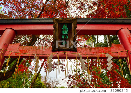 吉田神社加曾神社(京都市左京區) 吉田神社加曾神社(京都市左京區) 85090245