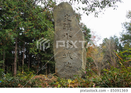 Kokura Castle Ruins (Musashi Province), a stone monument standing on the main keep [Tokigawa Town, Saitama Prefecture] 85091369