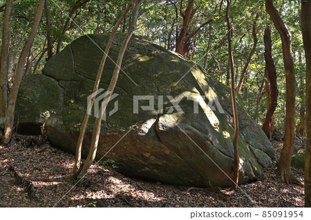 Kusenbuyama Climbing "Big Rock on the Side of the Mountain Trail" 85091954
