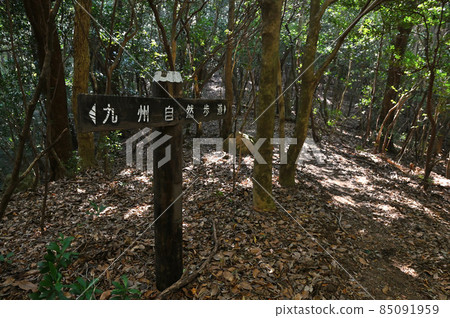 Kusenbuyama mountain climbing "Kyushu nature trail" Kusenbuyama mountain climbing "Kyushu nature trail" 85091959