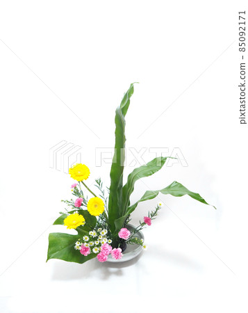 Ikebana works Ikebana works 85092171