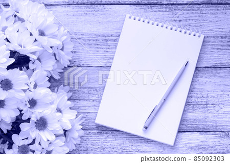 spring bouquet of white daisies with clean notebook to write in very peri trendy color of the year 2022. spring bouquet of white daisies with clean notebook to write in very peri trendy color of the year 2022. 85092303
