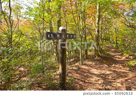 Kusenbuyama mountain climbing "Kyushu nature trail" 85092618