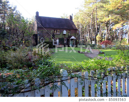 English garden 85093563
