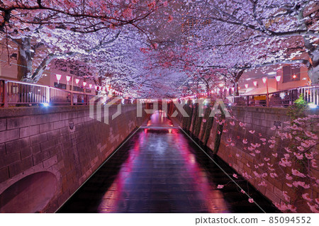 目黑川的夜櫻 85094552