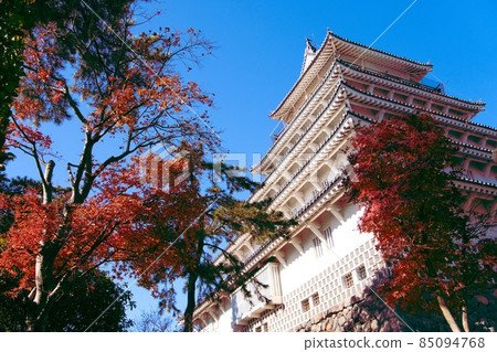 島原城本丸2號從秋色的楓樹上仰望 85094768