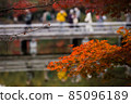 Autumn leaves and bridge 85096189