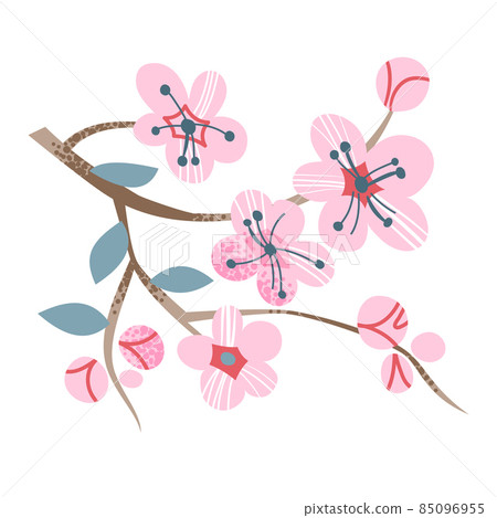 Japanese sakura, cherry tree branch with blooming flowers in Japan, cute pink blossoms Japanese sakura, cherry tree branch with blooming flowers in Japan, cute pink blossoms 85096955