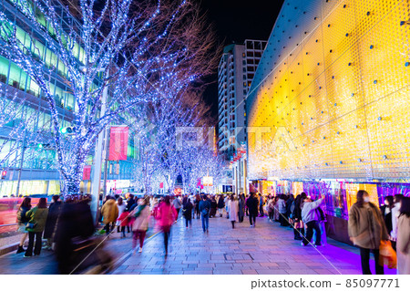 Tokyo Roppongi Keyakizaka Illumination 85097771