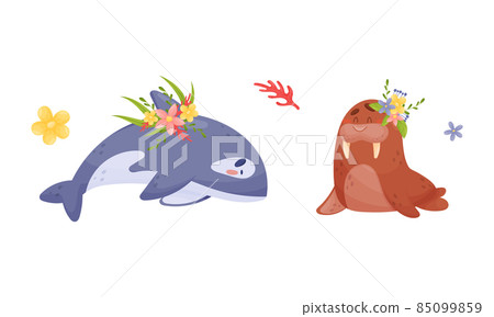 Sea animals in wreath of flowers set. Cute killer whale and sea lion marine baby creatures with flowers vector illustration 85099859