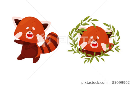 Red panda set. Cute happy wild animal character in different actions vector illustration 85099902