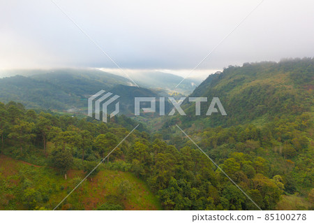 Aerial top view of lush green trees from above in tropical forest in national park and mountain or hill in summer season in Thailand. Natural landscape. Pattern texture background. Aerial top view of lush green trees from above in tropical forest in national park and mountain or hill in summer season in Thailand. Natural landscape. Pattern texture background. 85100278