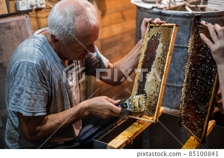Beekeeper uncapping honey cells on the frames with a uncapping comb. 85100841