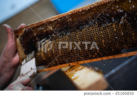 Beekeeper removes excess beeswax with the scraper by hand, preparing for pumping honey. Beekeeper works in the apiary. 85100850