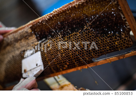 Beekeeper removes excess beeswax with the scraper by hand, preparing for pumping honey. Beekeeper works in the apiary. 85100853