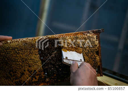 Uncovering the honeycombs with the scraper by hand, honey harvest. Uncovering the honeycombs with the scraper by hand, honey harvest. 85100857