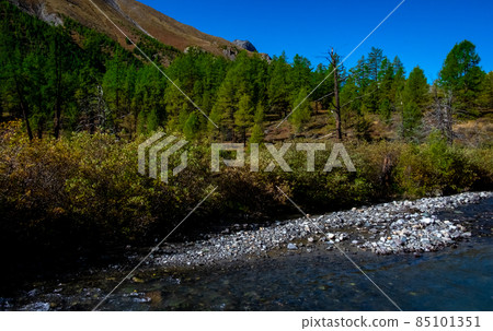 Mountain river in the Altai Republic. 85101351