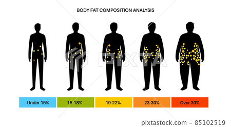 Body fat composition Body fat composition 85102519