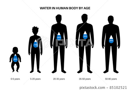 Water body balance 85102521