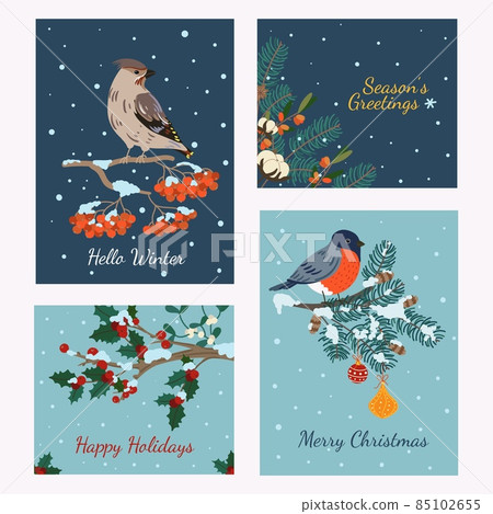 Winter birds cards. Christmas snowy banners with cute flying animals on branches. Whistler and bullfinch. Rowan and spruce trees. Holiday congratulations posters. Vector postcards set 85102655