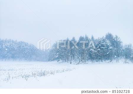 Snowy field 85102728