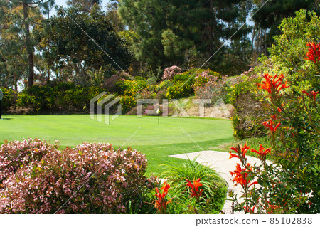 Golf Course Practice Putting Green Amongst Flowers. Golf Course Practice Putting Green Amongst Flowers. 85102838