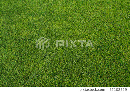 Close Cut Green Grass Background. Close Cut Green Grass Background. 85102839