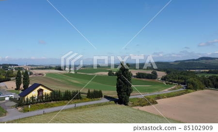 北海道美瑛町的肯和瑪麗樹 北海道美瑛町的肯和瑪麗樹 85102909