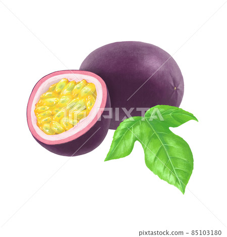 手繪百香果圖 85103180