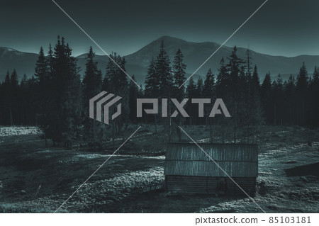 Old house in the mountains near thick forest, horror 85103181