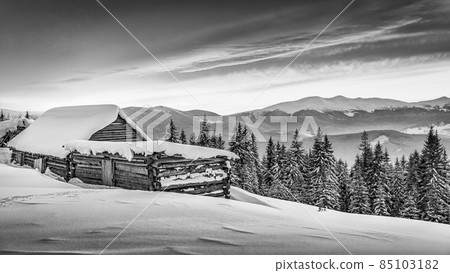 Snow-covered hut in winter Carpathian Mountains 85103182
