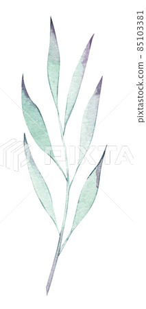 Mint realistic colorful leaf. Watercolor painting isolated object. Botanical illustration for holidays summer design, wedding invitation and birthday cards. 85103381
