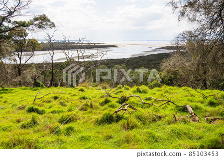 Rhyll Inlet State Wildlife Reserve - Phillip Island 85103453